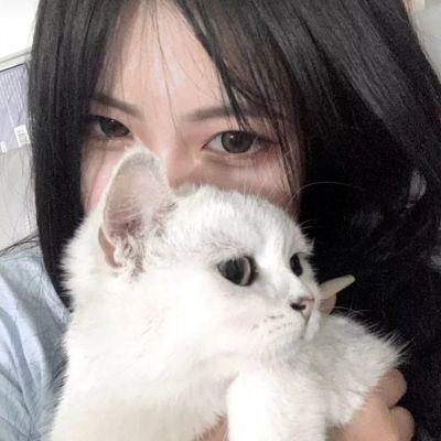 墨尘录果盘版下载